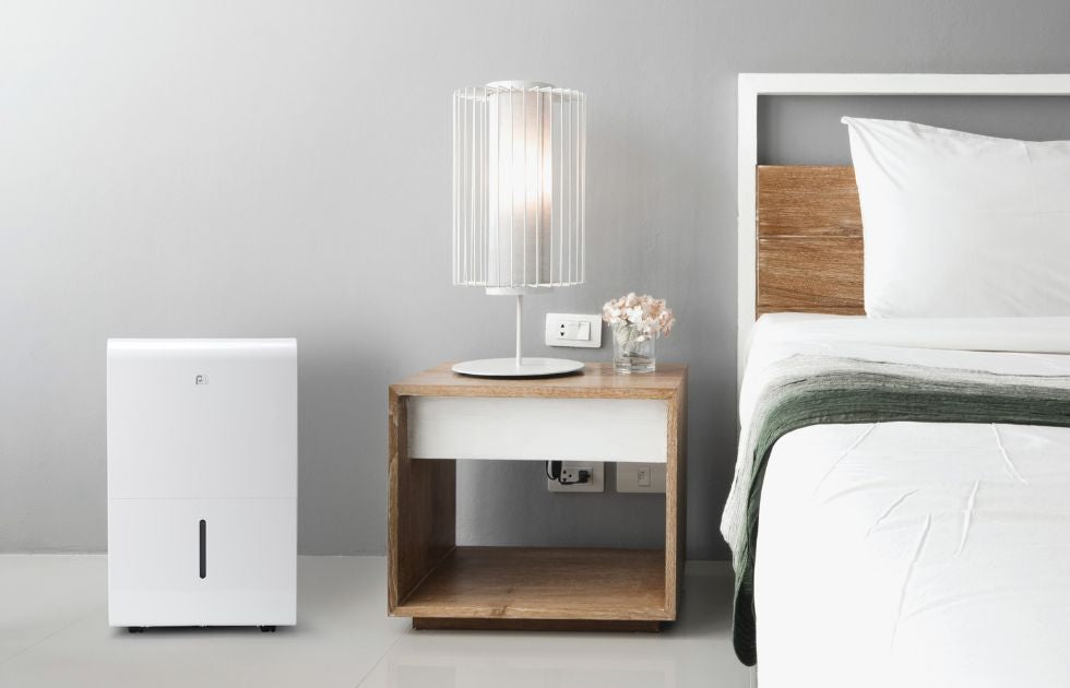 Do You Need a Dehumidifier This Spring? How Humidity Impacts Comfort & Cooling Efficiency