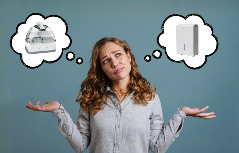 Humidifier or Dehumidifier: Which One Does Your Home Need in Fall?
