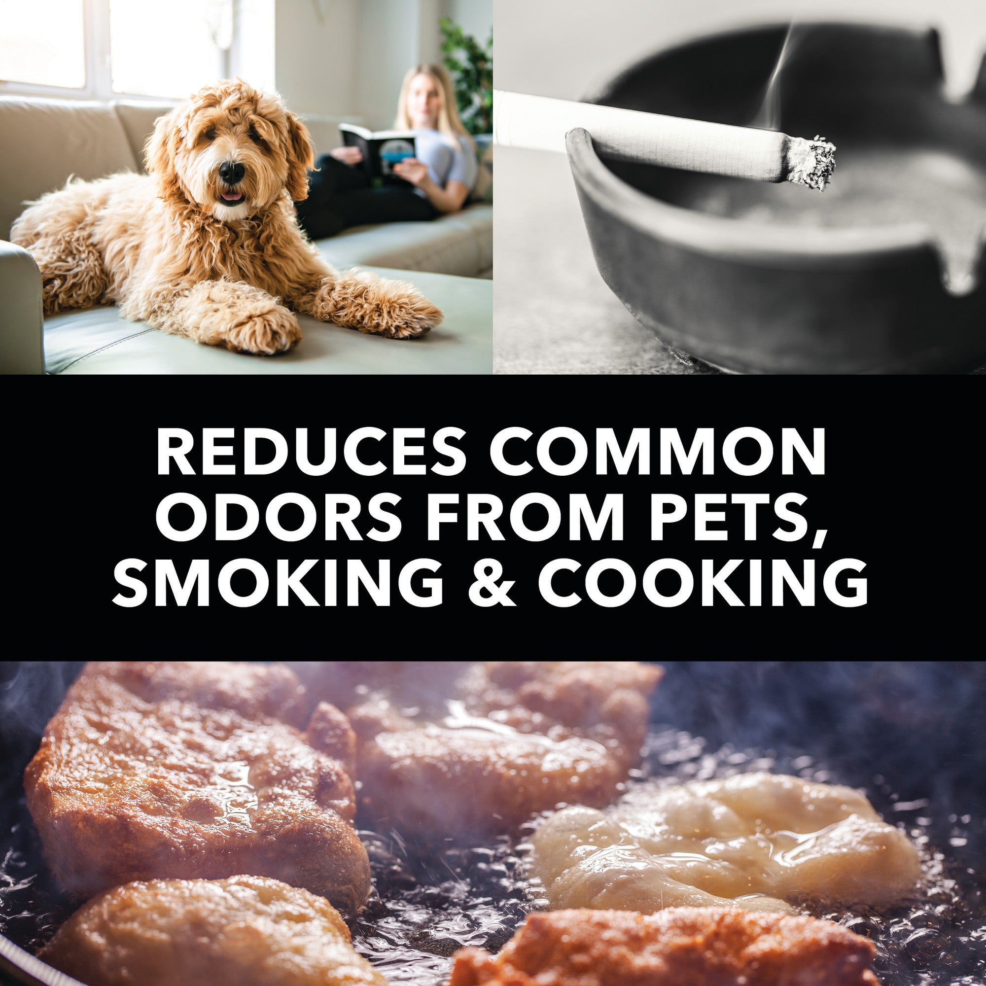 Perfect Aire 16″ H13 HEPA Air Purifier – Cleans Air in Medium Rooms up to 323 sq. ft., Real-Time PM2.5 Display